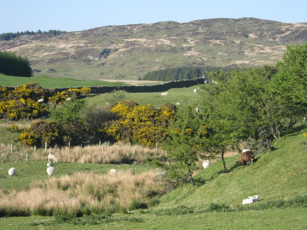 Casa vacanze Barcloy Milk House *